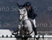 El Daham Pepperpot TosTour2013- S5 2809 : Arezzo, Arezzo Equestrian Centre, El Dahan Sameh, Pepperpot, Toscana Tour 2013, foto di Stefano Secchi ©